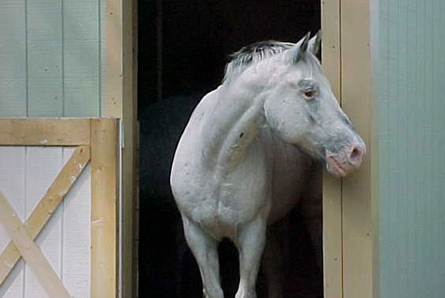 Absolute Return Equity Funds