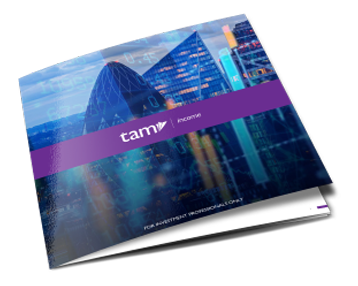 TAM Income Brochure