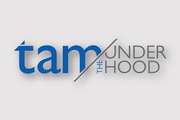 TAM Under the Hood: Instant valuations