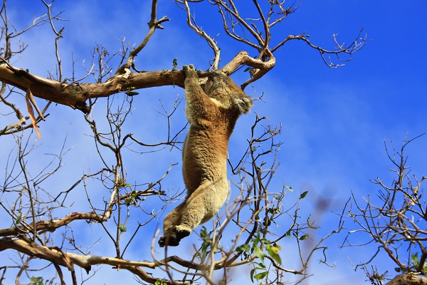 Hang on in there, the market is on the mend