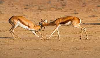 Wealth managers vs Vanguard Life Strategy: How the returns really stack up