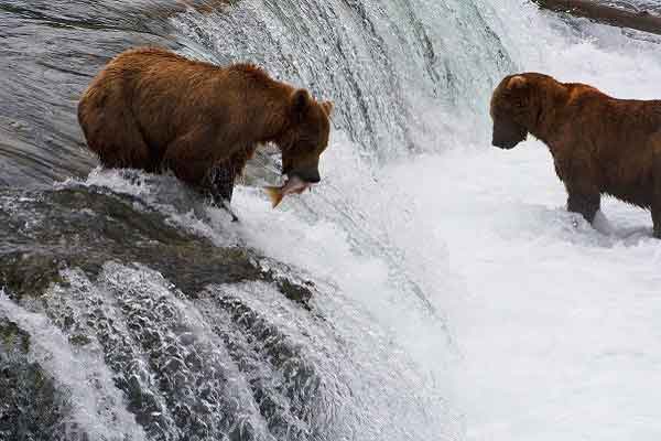 So goes January, so goes the year