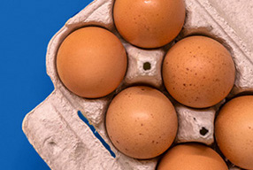 Woodford fund suspended, TAM clients unaffected