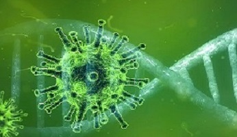 Global stocks suffer worst day in two years on virus fears 